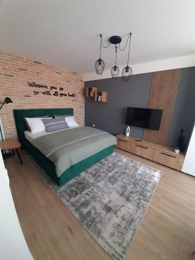 City Center View Studio Apartment 1 Timişoara Exteriör bild