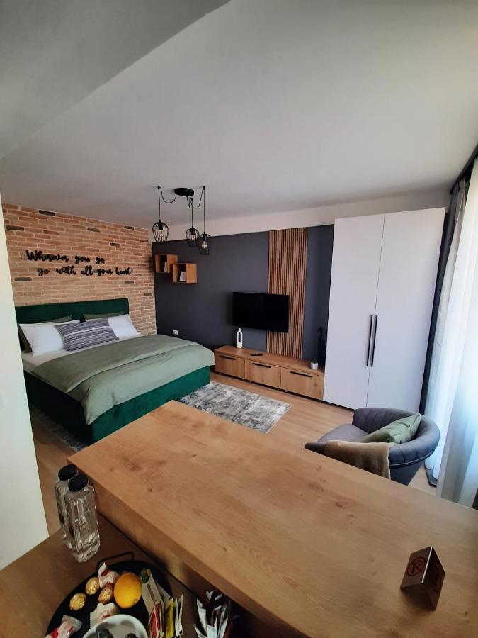 City Center View Studio Apartment 1 Timişoara Exteriör bild